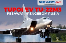 Tupolev Tu-22M3, Pesawat...