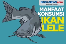Luar Biasa, Ikan Lele...