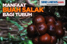 Sangat Mengejutkan,...