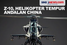 Z-10, Helikopter Tempur...