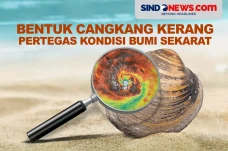 Bentuk Cangkang Kerang...