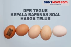 DPR Tegur Kepala Bapanas...