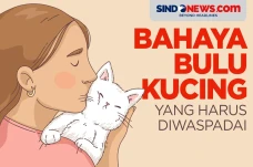Akibatkan Keguguran,...