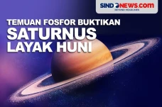 Temuan Fosfor Buktikan...
