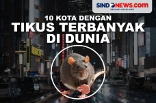 10 Kota dengan Jumlah...