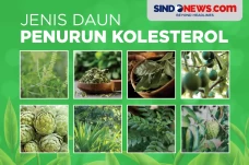 Delapan Jenis Daun untuk...