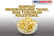 Manfaat Tauge untuk...