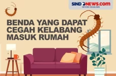 Lima Benda yang Dapat...