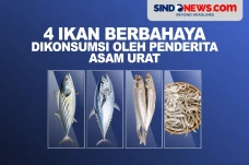 4 Ikan yang Harus Dihindari...