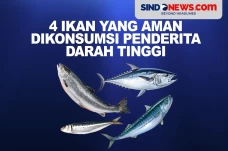 4 Ikan yang Aman Dikonsumsi...