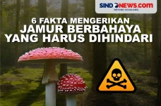 Harus Dihindari, Ini...