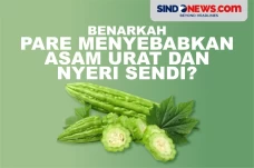 Benarkah Sayur Pare...