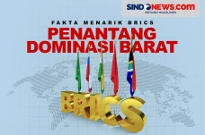 BRICS, Kelompok Ekonomi...