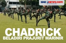 Chadrick, Beladiri Campuran...