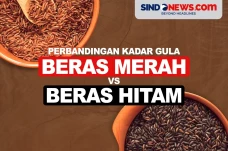 Perbandingan Kadar Gula...