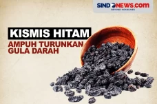 Kismis Hitam Ampuh Menurunkan...