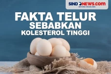Fakta Telur Sebabkan...