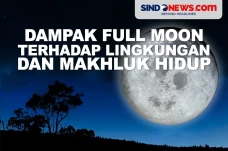 5 Dampak Full Moon terhadap...