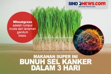 Makanan Ini Terbukti...