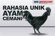 Rahasia Unik Bulu, Tulang...