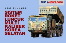 K239 Chunmoo, Sistem...
