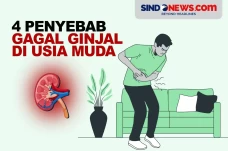 4 Penyebab Gagal Ginjal...