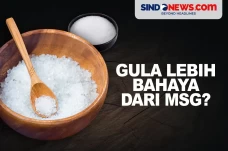 Apakah Benar Gula Lebih...