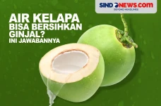 Apakah Air Kelapa Bisa...