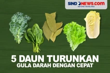 5 Daun yang Menurunkan...