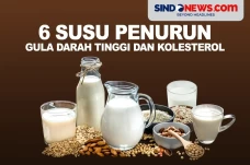 6 Susu Penurun Gula...