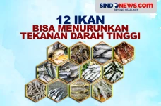 12 Ikan yang Bisa Menurunkan...