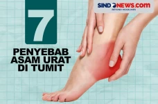 7 Penyebab Asam Urat...