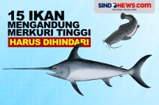 Harus Dihindari, 15...