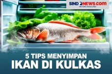 5 Tips Menyimpan Ikan...