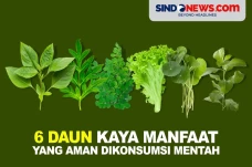 6 Daun Kaya Akan Manfaat...