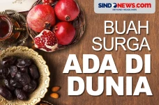 Buah-buahan Surga Kaya...
