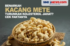 Benar Kacang Mete Dapat...