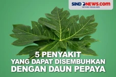 5 Penyakit yang Dapat...