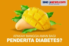 Apakah Buah Mangga Aman...