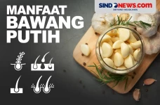 Manfaat Bawang Putih...