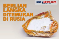 Berlian Langka Berukuran...