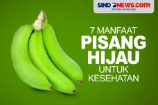 7 Manfaat Pisang Hijau...