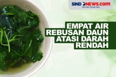 4 Air Rebusan Daun yang...