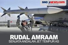 Rudal AMRAAM, Senjata...
