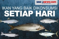 5 Jenis Ikan yang Sangat...