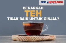 Benarkah Teh Tidak Baik...