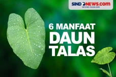 6 Manfaat Kesehatan...