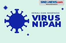 Waspadai Virus Nipah,...