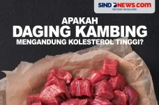 Apakah Daging Kambing...