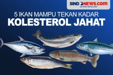 5 Ikan Ampuh Tekan Kadar...